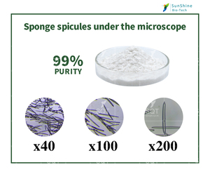 ฟองน้ำเข็มสำหรับดูแลผิวหน้า,ผลิตภัณฑ์ดูแลผิวหน้าสกัดจากฟองน้ำ Spongilla ชนิดผงไฮโดรไลซ์ฟองน้ำ Bio Microneedling ปี99.51% - Product Image 3