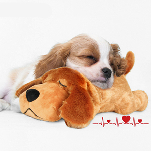 Qbellpet Pet anksiyete eşlik uyku oyuncak peluş kalp atışı oyuncak rahat yavru dolması peluş bebek toplu köpek oyuncaklar - Product Image 1