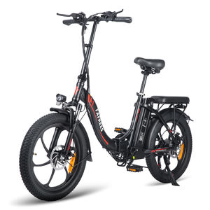 Vélo électrique Fafrees F20 250W Batterie au lithium 16Ah Moteur sans balais Capteur de moyeu arrière Double vitesse numérique Vélo pliable intelligent pour la ville - Product Image 1
