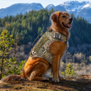 Chaleco Táctico Resistente con Sistema Molle para Perros de Servicio y Patrulla Medianos, Chaleco Transpirable y Ajustable con Correas - Product Image 4
