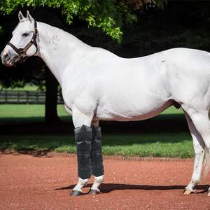 Botas de hielo para caballos, compresa fría para terapia de lesiones, bota de hielo de pierna completa con correas flexibles para articulaciones de gancho, tobillo, rodilla y patas. - Product Image 3