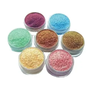Factory Professional Supplier Dry Mica Powder Synthetic Mica Powder for Painting Coating