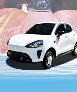Véhicule hybride électrique mini à moteur AC haute puissance 50-100KW, 4 portes, 5 places, 4 roues, voiture de mobilité pour personnes âgées avec climatisation - Product Image 2