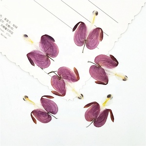 12pcs/pack Bleeding <strong>Heart</strong> Pressed Botanical <strong>for</strong> Candle Making DIY <strong>Craft</strong> Resin Art Frame Home Deco. - Product Image 2