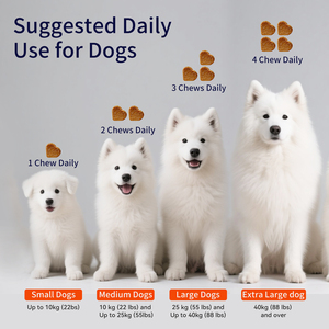 Suplemento para Cadera y Articulaciones al por Mayor de Fábrica, Apoya la Salud de las Articulaciones, Mantiene la Lubricación de las Articulaciones - Product Image 6