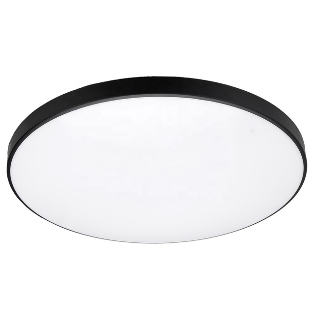 Ceiling Light Indoor Round Shape 24W Tuya WIFI APP Smart Control Homekit LED Ceiling Light