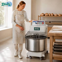 Mélangeur à spirale double vitesse, bol de 50 L, capacité de 20 kg de pâte, rotation réversible, machine à pétrir la pâte pour la fabrication artisanale du pain