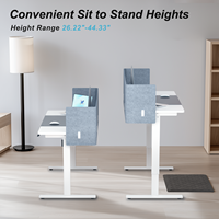 Bureau debout électrique pliable YG avec panneau d'intimité et tapis de bureau 55x24 pouces, hauteur réglable, silencieux 48 dB, design moderne pour la maison