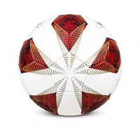 Ballon d'entraînement renforcé haute résistance, couleur personnalisable pour le développement athlétique en été, en hiver, en salle et tout au long de l'année