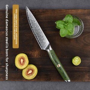 Cuchillo de Frutas Verde Damasco <span class=keywords><strong>Global</strong></span> Export, Afilado, Multiusos, de Calidad Comercial, Estilo Occidental, en Stock - Product Image 2