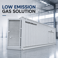 Nouvelle Offre 2026 : Groupe Électrogène Biogaz Conteneurisé 800kW 1000kVA pour Projets de Valorisation Énergétique des Déchets