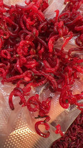 Venda Direta Da Fábrica Bloodworms Congelados Premium Alimento Seco para Animais Aquáticos - Product Image 6