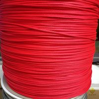 Cordon tressé UHMWPE LANXIN, prix d'usine, 16 brins, 3 mm, force de rupture de 500 kg, pour kite-surf, pêche sous-marine, ligne de tir, queue de cochon
