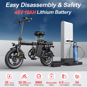 Vélo Électrique Pliant Sans Balais 48V 15Ah Batterie Lithium - Programmes OEM/ODM Directs d'Usine pour les Partenaires de Distribution Mondiale - Product Image 5