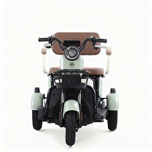 Nouveau tricycle électrique X6 avec siège enfant pliable, moteur 800W, phare et feu arrière LED, différentiel de rickshaw électrique - Product Image 2