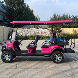 Voiture de golf électrique professionnelle 60V rose multifonctionnelle tout-terrain 6 places - Product Image 6