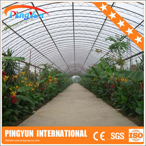 แผ่น<span class=keywords><strong>หลังคา</strong></span> FRP แบบกําหนดเองสําหรับโมเด็ม Skylight กระเบื้องหลังคาดินเผาอัดขึ้นรูปที่ทันสมัย ขนาด<span class=keywords><strong>เล็ก</strong></span> ความยาวที่กําหนดเอง ชัดเจนและมีสี - Product Image 4