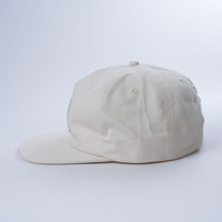 3D Broderie Coton Haute Qualité 5 Panneau Cap Logo Petite Courbe Personnalisation Extérieur Toutes Saisons Voyage Activité