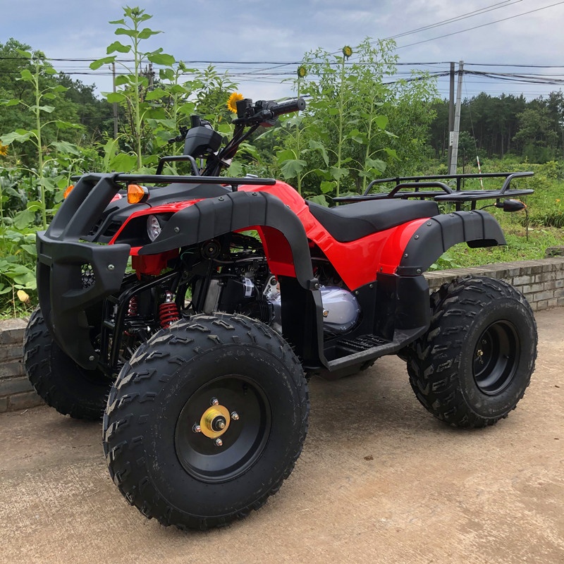 Квадроцикл Арго IX R 500