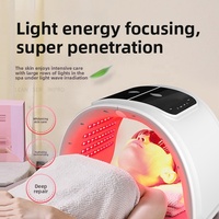 Appareil de beauté Photon, spray hydratant, masseur facial sept couleurs, spectromètre, utilisation domestique et commerciale