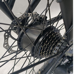 <span class=keywords><strong>Tricycle</strong></span> électrique familial à trois roues de style néerlandais avec arc-en-ciel (FP-ETRI22002) - Product Image 4