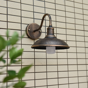 Petite applique murale industrielle vintage en fer et laiton antique, style col de cygne, pour porche, ferme et couloir - Product Image 1