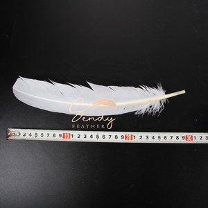 Vendita a buon mercato 12-14 "/30-35cm bianco tacchino tonda piuma piuma per carnevale copricapo zaino Costume - Product Image 3