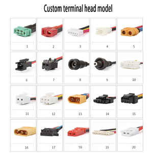 Индивидуальные 18650/21700/32700 литий-ионные аккумуляторные батареи 11,1 V-25,9 V и 20AH-30AH литий-ионный аккумулятор 14,8 V 18,5 V 22,2 V опции - Product Image 4