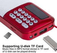 Lecteur audio portable multifonction léger avec basses profondes, design élégant, prend en charge les cartes SD et USB, redit la Gurbani, la Bible, le Coran et la radio