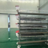 Années d'expérience dans l'équipement d'élevage avicole et l'agriculture pour l'élevage commercial avec une conception durable