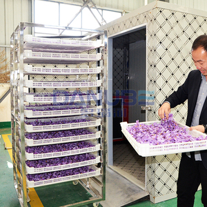 Quality Certification Saffron Dryer Equipment Saffron Dehydrator Processing Machinery Flowers Drying Room - Product Image 3