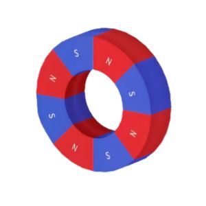 자석 제조사 8 자기 극 다극 자석 링 강력 네오디뮴 자기 링 자석 - Product Image 1