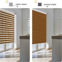 Persianas Enrollables Verticales Modernas Integradas, de Tela de Poliéster Lisa, Opacas, Duraderas, Impermeables, con Mecanismo Manual de Resorte, Tipo Zebra, para Ventanas Francesas de Hotel