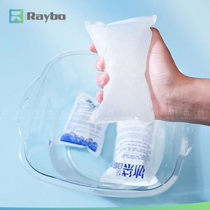 RAYBO Gıda Sınıfı Süper Soğuk Dondurulmuş Jel Buz Paketi Gıda Taşımacılığı İçin - Product Image 2