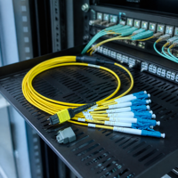 Cordon de brassage fibre optique monomode 12 fibres MTP mâle APC vers 12 LC UPC simple mode 9/125µm LSZH Type B à faible perte