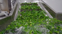 Pasariwa Ng Gulay Bij Prutas Na Chips, Vacuüm Gebakken Bij Gevriesdroogde Chips Sariwang Gedroogde Snack