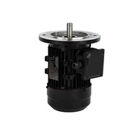 Moteur asynchrone triphasé 0,37 kW 0,55 kW 0,5 CV 0,75 CV 380 V pour systèmes de convoyeurs et de broyeurs