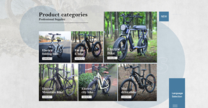 Velocipede con acceleratore elettronico a 7 velocità 48v 25 Kmh sensore di velocità batteria al litio giù tubo posizione e mozzo posteriore del motore - Product Image 5