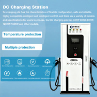 Chargeur rapide DC pour véhicules électriques de 30 kW à montage au sol, OEM CCS2 GBT NACS, station de recharge bidirectionnelle pour véhicules électriques