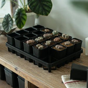 Portabottiglie in plastica per vivaio piccolo vassoio di acqua quadrata nera addensata succulenta - Product Image 3