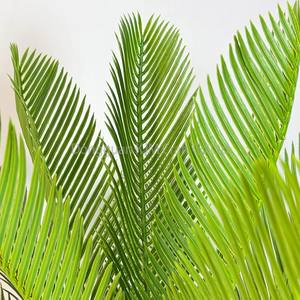 ต้นปาล์มจำลองขนาด60ซม. ต้นสาคูประดิษฐ์ต้นซีพลาสติกต้นไม้ประดิษฐ์สำหรับตกแต่งในร่มและกลางแจ้ง - Product Image 2