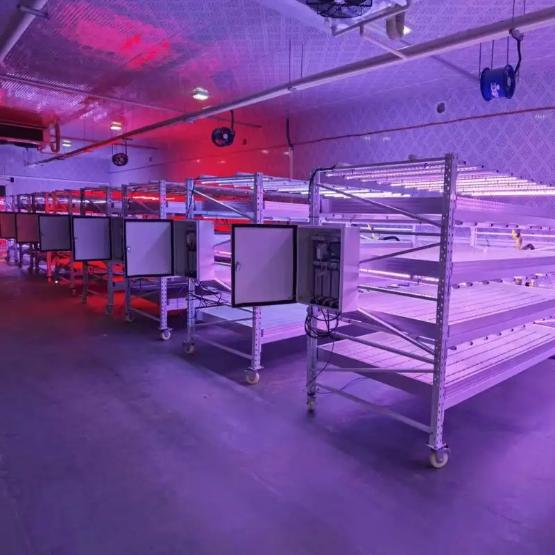 Sansi LED-Lichthersteller große Größe faltbar dimmbar volles Spektrum neue faltbare Pflanzen-Wachstumslampe