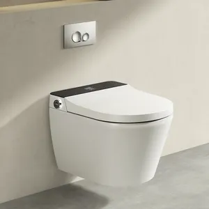 European Wall Hung Mounted Wash Down Electric Bidet Bathroom Smart Toilet