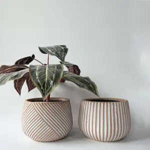 Maceta de plantas suculentas con logotipo personalizado, decoración moderna para el hogar y el balcón, macetas de cerámica con rayas en relieve, novedad