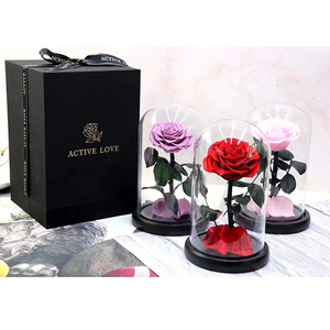 Fornitura di Fabbrica: Rose Eterne Vere, Rose Stabilizzate in Scatola Regalo di Vetro, Medaglia di San Valentino, Arte Popolare dell'Angelo, OEM ODM, Vetro di <span class=keywords><strong>Murano</strong></span> - Product Image 5