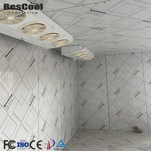 Chambre froide de petite taille au prix le plus bas, chambre froide de haute qualité, chambre froide de stockage, congélateur, chambre froide à accès piétonnier - Product Image 4