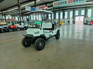 Carrito de Golf de 2 Plazas con Batería de Litio y Chasis de Aluminio para Uso en Limpieza y Transporte - Product Image 6