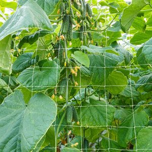 Filet de soutien pour plantes à prix d'usine en vente - Product Image 1