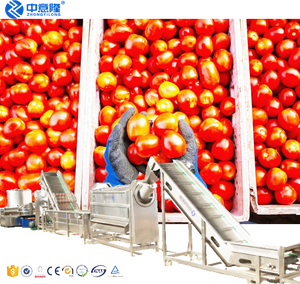 Macchina per la produzione di pasta di pomodoro semiautomatica manuale con capacità di 0.5 tonnellate su piccola scala linea di produzione di salsa di pomodoro - Product Image 2