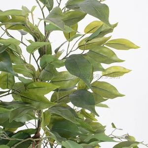 ต้นไทรปลอมพลาสติกประดับตกแต่งภายในสำนักงาน ลดราคาจากโรงงาน - Product Image 6